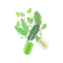 Feature Icon